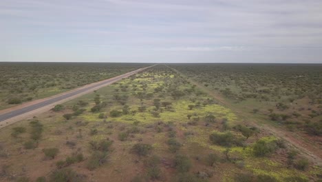 El-Desierto-Australiano-En-Plena-Floración