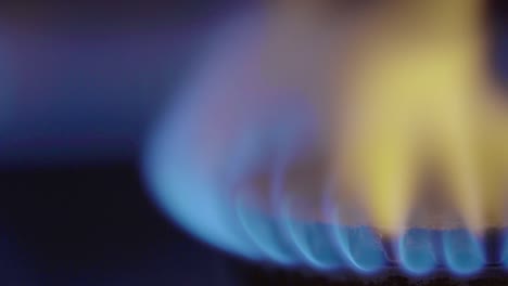 fire burns in a gas stove