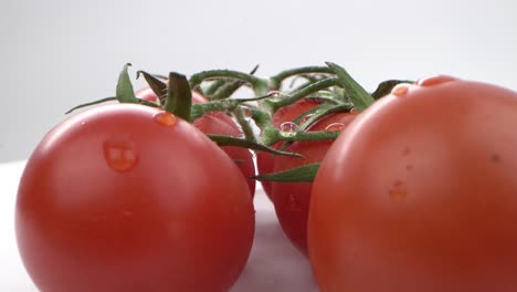 tomates frescos con rocío sobre un fondo blanco