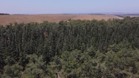 Toma-Aérea-Que-Revela-Lentamente-La-Carretera-Nacional-Del-Campo-De-Entrenamiento-Del-Ejército-Israelí-A-Través-De-Los-árboles