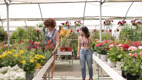happy young women exploring flower shop choosing plants