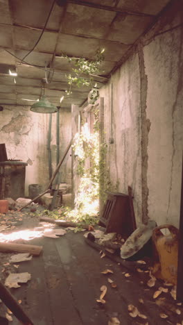 abandoned building overgrown with vines