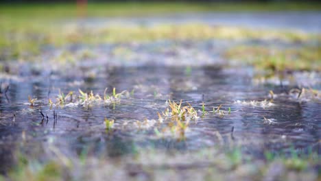 Leichter-Regen-In-Der-Regengrube