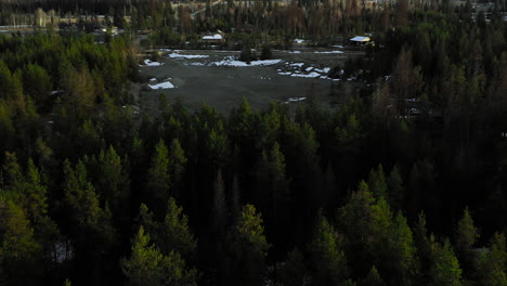 evergreen trees at sunset stretch on for miles into the rocky mountains