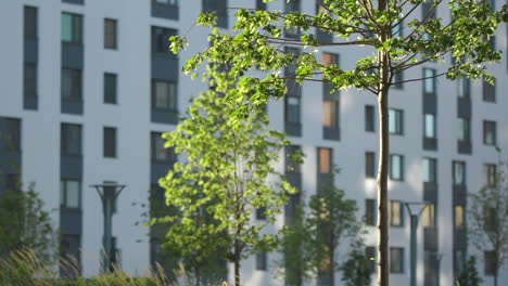 modern apartment building with green landscaping