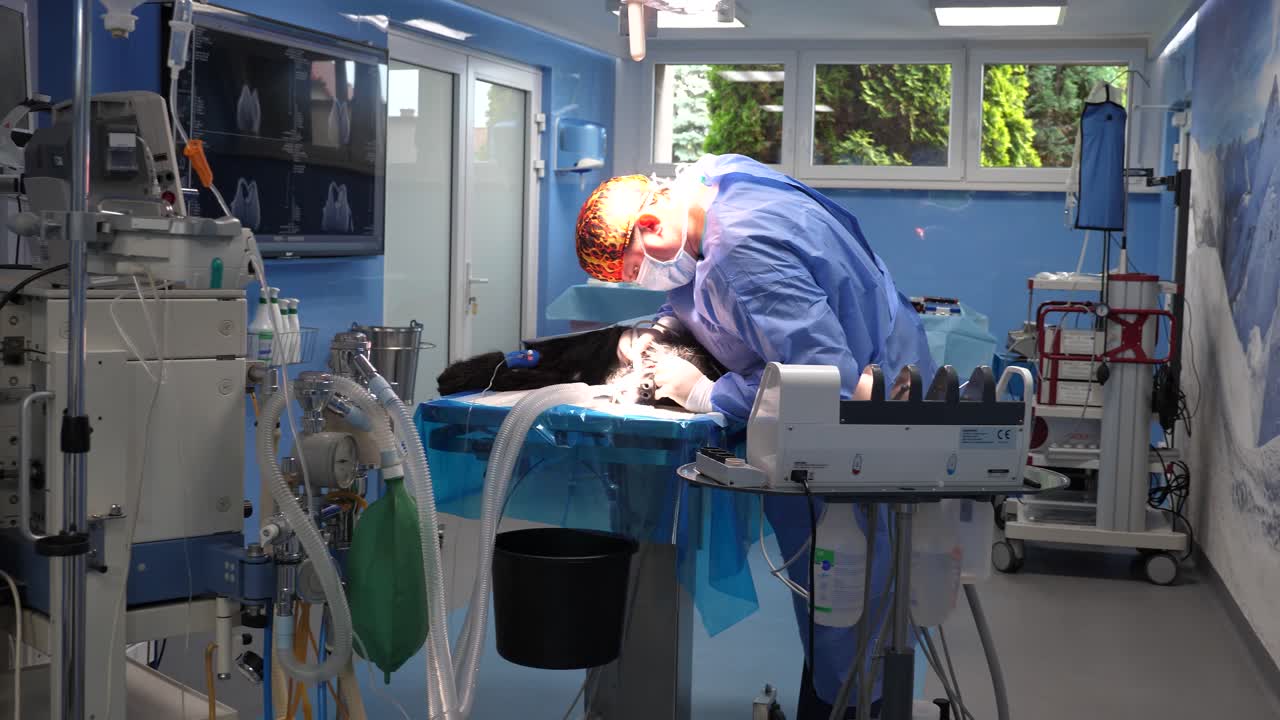 Vista generale di una sala operatoria durante un trattamento di cure dentali per un cane nero a pelo lungo