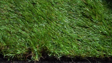 landscaper laying new grass in slow motion