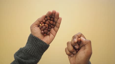 Handful of Hazelnuts
