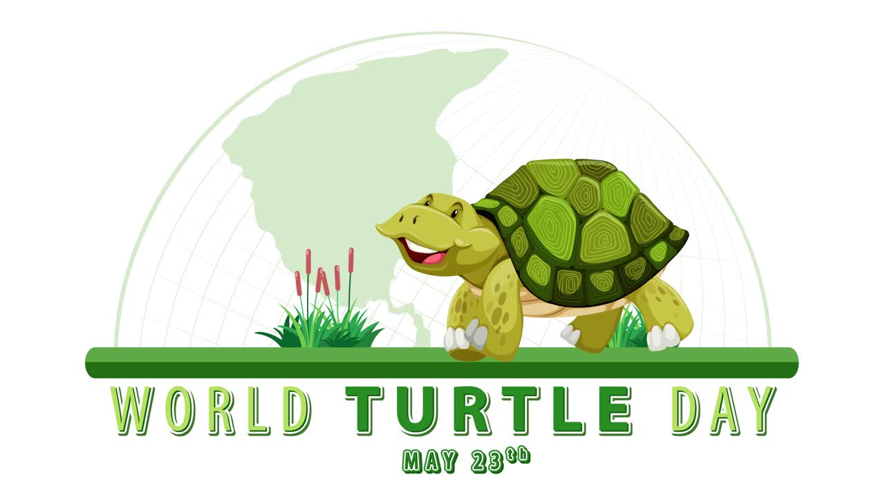 세계 거북이 날을 축하하는 애니메이션 거북이