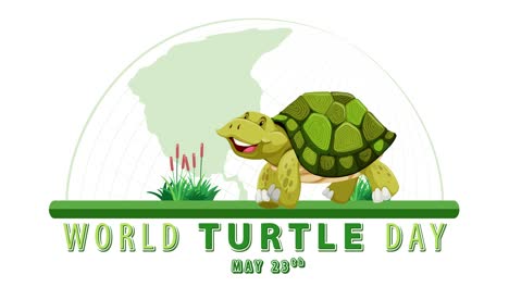 animated turtle celebrating world turtle day