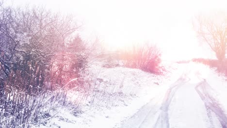 Lichtpunkte-Vor-Schneebedeckten-Bäumen-Und-Straße-In-Der-Winterlandschaft