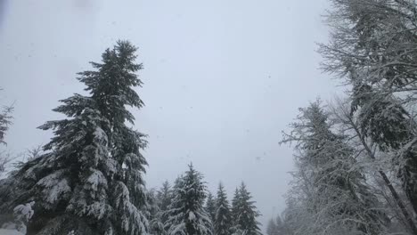 Die-Natur-In-Eine-Schneedecke-Gehüllt