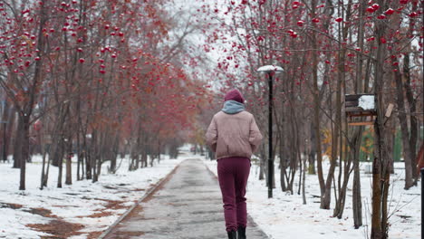 back view of a woman jogging on a snow-covered path lined with trees bearing red berries, she wears a winter outfit with a hoodie up, moving through a peaceful, quiet park during a cold season