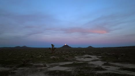 Mojave-Desert-at-twilight-with-the-moon-just-above-a-distant-butte---Joshua-tree-in-the-foreground---low-altitude-aerial