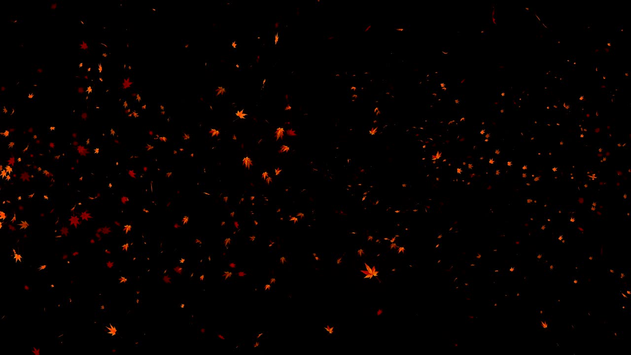 vórtice de colorido arce y hojas. espiral partícula brillante de hojas de otoño. hoja de baile. colorida naturaleza túnel bucle de animación.