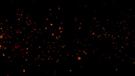 vórtice de colorido arce y hojas. espiral partícula brillante de hojas de otoño. hoja de baile. colorida naturaleza túnel bucle de animación.