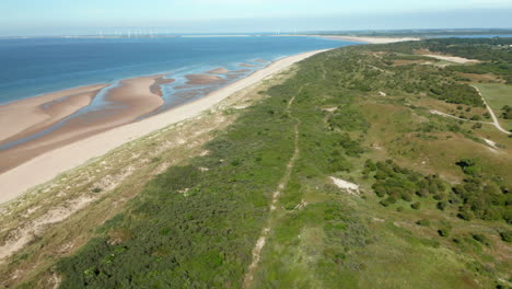 paisaje verde en la costa arenosa de la playa de aloha en el pueblo de kamperland en países bajos