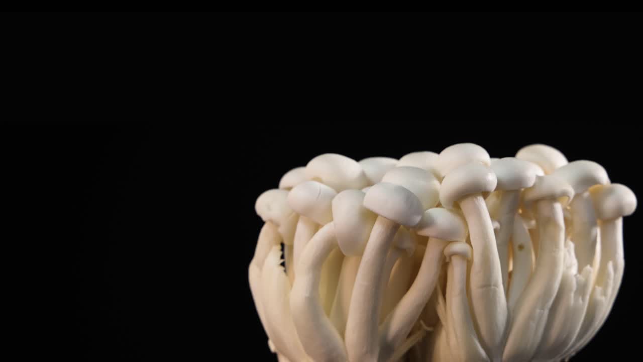 A cluster of white beech mushrooms slowly rotates against a seamless black background, illuminated with soft, even lighting for detailed texture and form