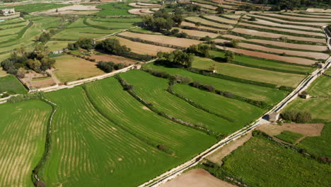 Flug-über-Grünes-Landwirtschaftliches-Land-In-Marsaxlokk-Im-Südosten-Maltas