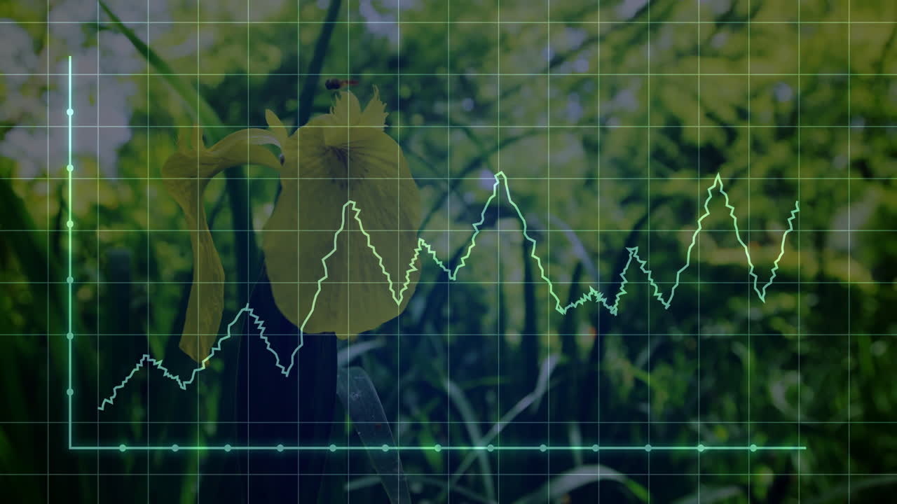 Animation of green graph line on floral background showing data analysis concept