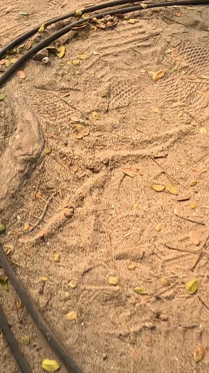 el cordón de extensión se desenrolla en un terreno sucio