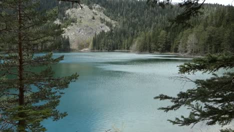 the black lake surrounded by pine forest in durmitor national park, zabljak, montenegro.