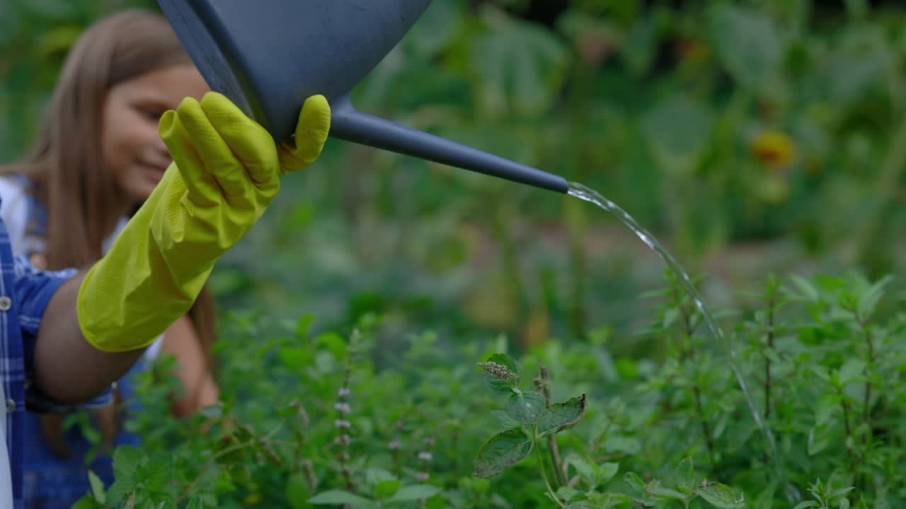 Child watering herbs in a garden