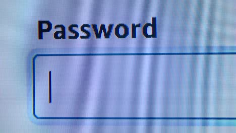 password input field on a computer screen