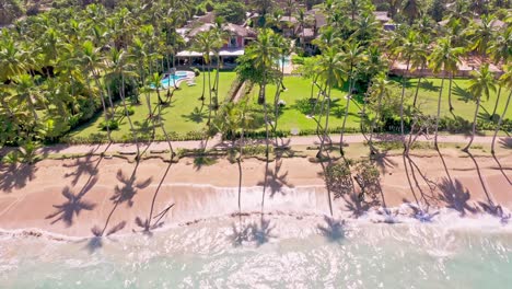 Aerial-of-palm-shadows-on-Caribbean-beach,-gentle-waves-crash-on-shore