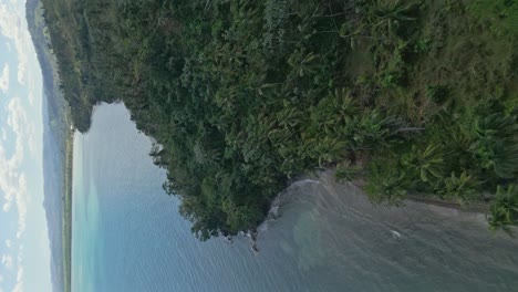 Retrato-Drone-Adelante-Selva-Costa-De-Sabana-De-La-Mar,-República-Dominicana