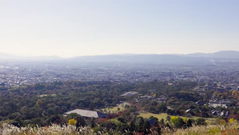 la mejor vista en nara