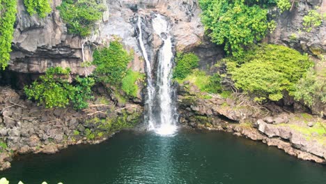 Blooming-flowers-and-jungle-waterfall-in-Maui,-Hawaii,-USA