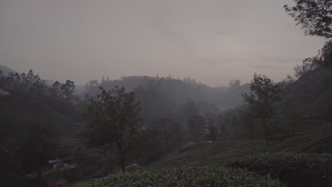 Toma-Panorámica-A-Través-De-La-Plantación-De-Té-De-Munnar,-India