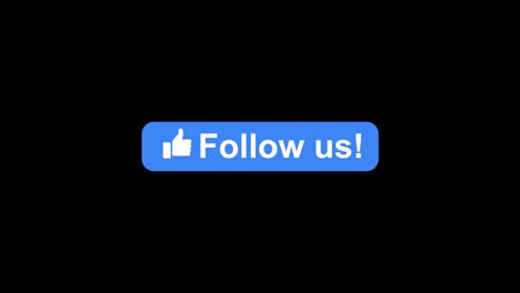 social media like  follow us animation with alpha channel transparent background