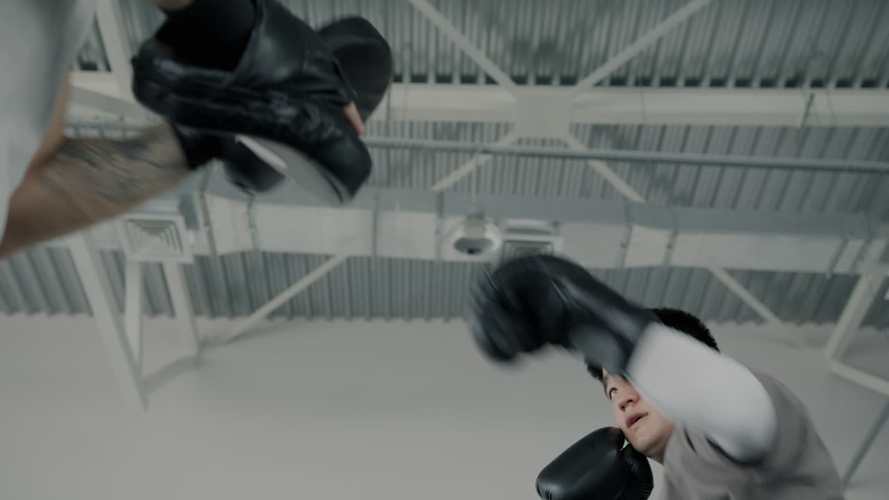 권투 훈련 세션