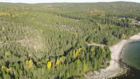 Laubwald-Mit-Herbstfarben-An-Weißen-Sandstränden-In-Schweden