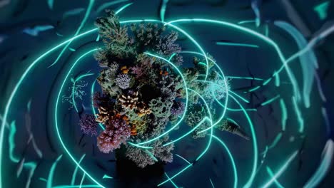 vibrant underwater coral reef display