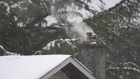 slow-motion footage of a smoking chimney during a light snowfall in canada