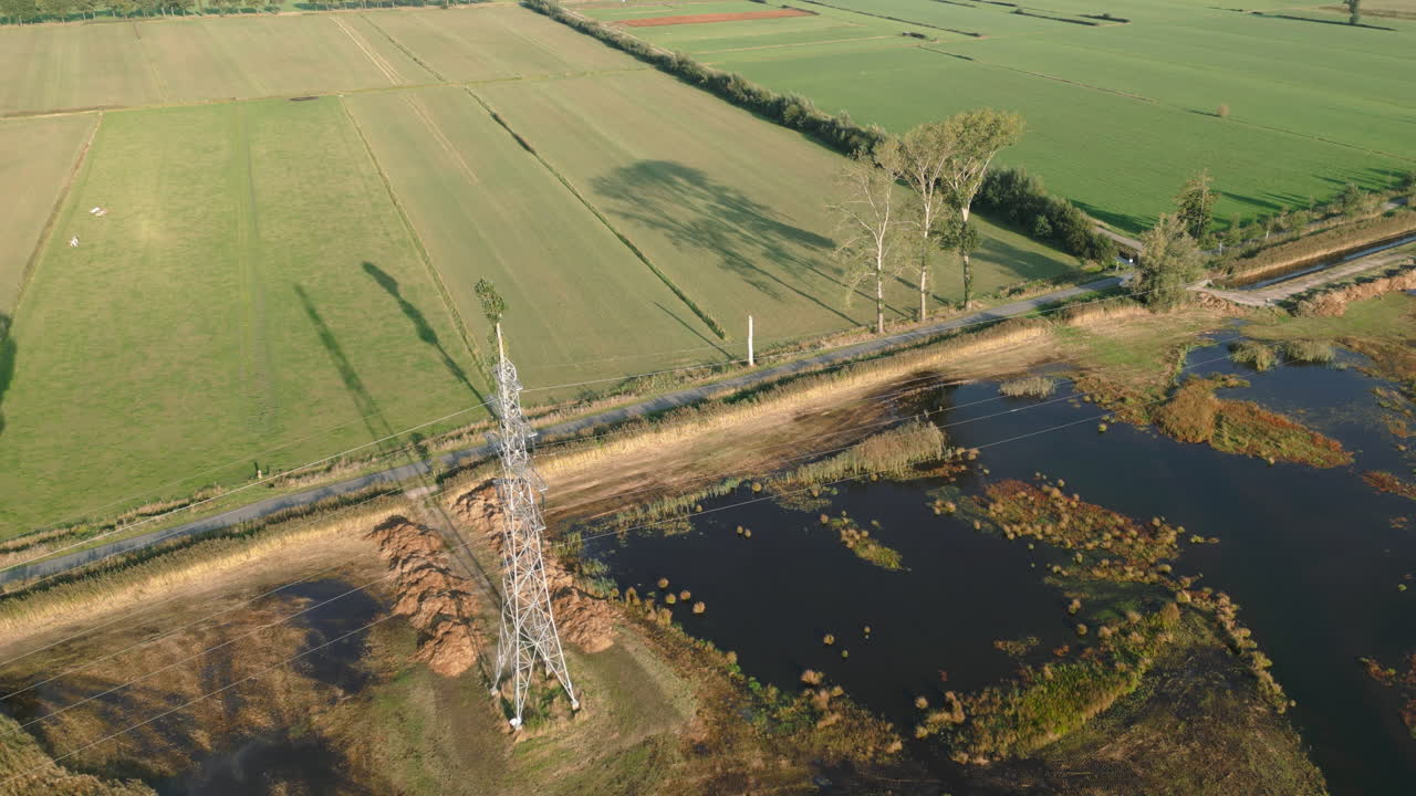 tierras de cultivo holandesas con vacas que bordean una perspectiva aérea de reserva de agua natural