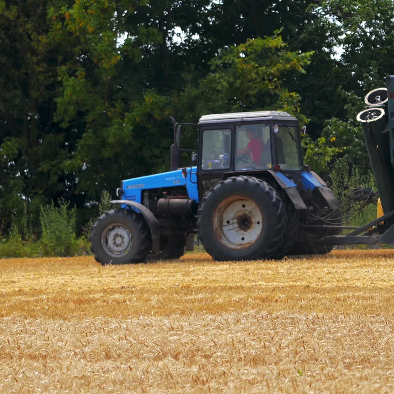 Harvester moves in wheat field