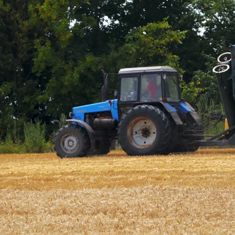 harvester moves in wheat field