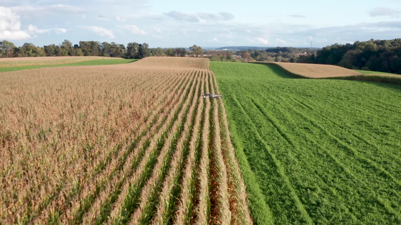 antena de drones volando sobre campos de cultivo
