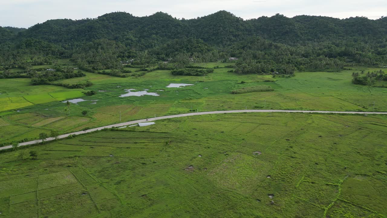 필리핀 카탄두아네스의 산간 배경을 가진 평평한 목가적인 논 한가운데에 있는 바쁜 도로의 높은 각도의 공중 드론 샷