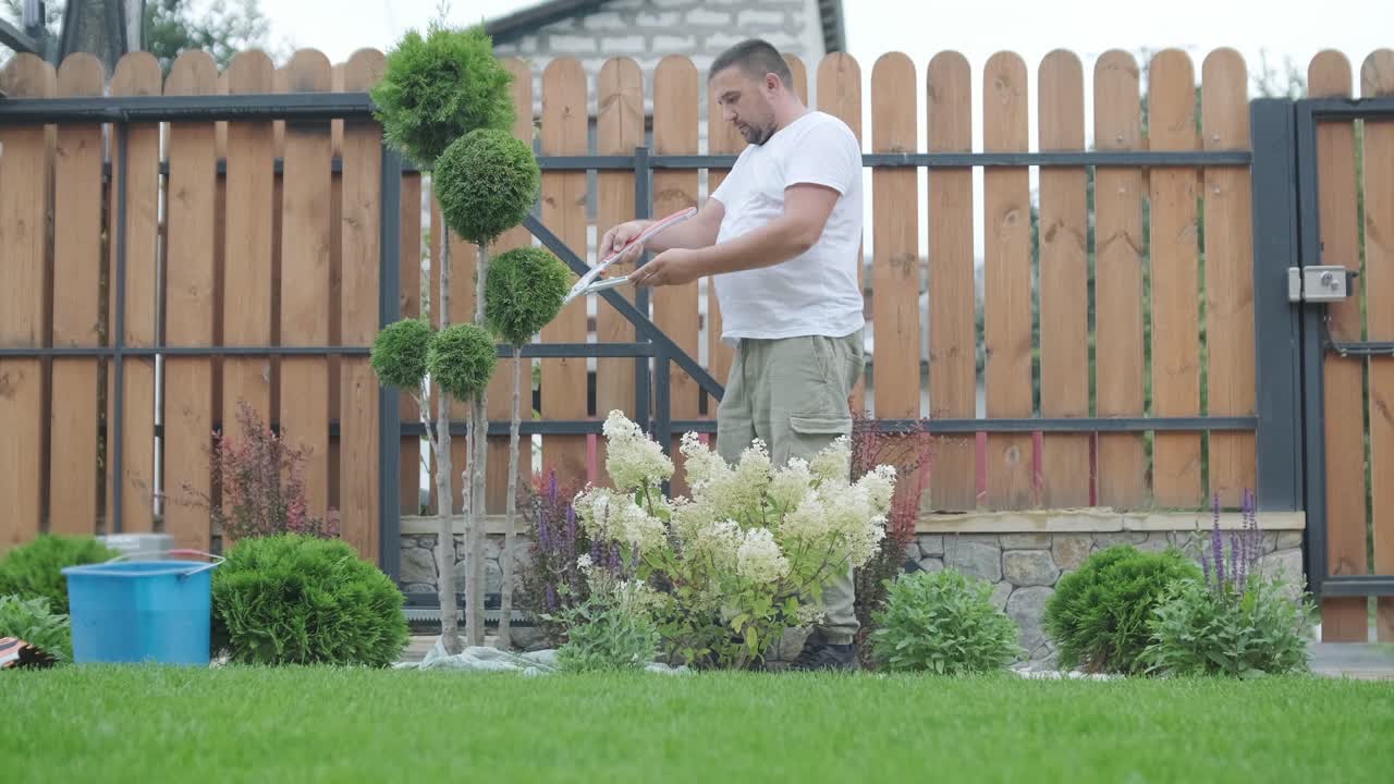 hombre recortando el árbol topiario en el jardín del patio trasero para el paisajismo y el mantenimiento