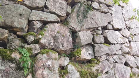 Nahaufnahme-Der-Textur-Von-Steinmauern,-Der-Japanischen-Burgruine-Takeda,-Felsen-Und-Gras-Dazwischen,-Wahrzeichen-Des-Reiseziels-In-Asago-Hyogo