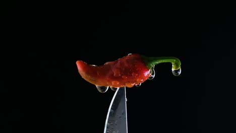 close up shot of red chili pepper with water droplets on skin on tip of knife against black background