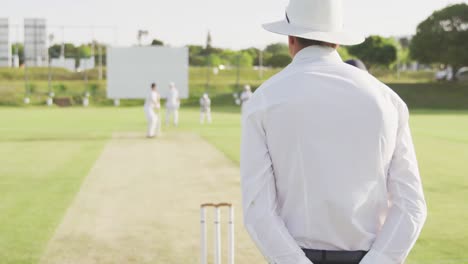 rear view of cricket payer throwing a ball