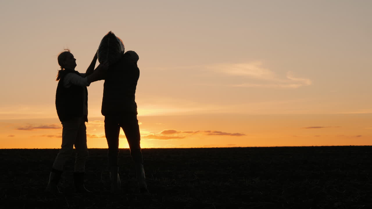 los agricultores cosechan al atardecer