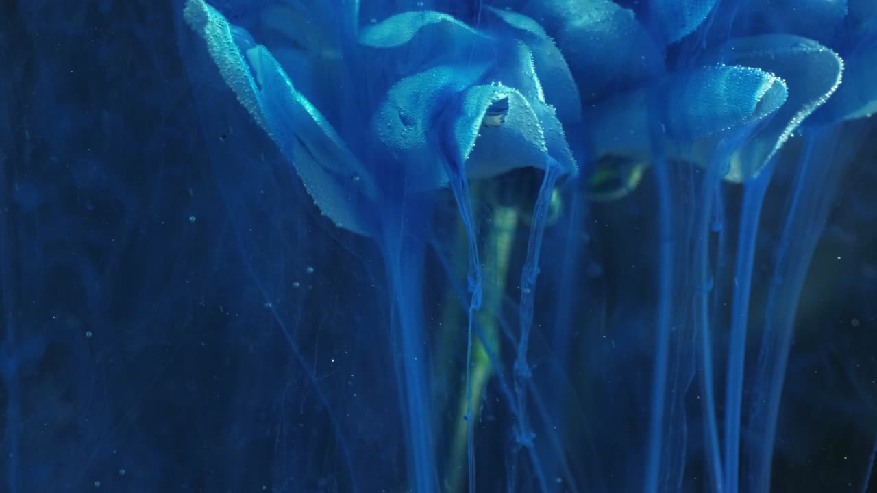 색 이 움직임 유령 파란색 페인트 흐름 잎자루