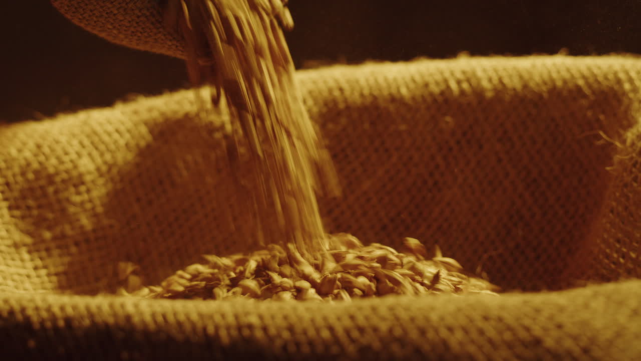 Pouring grains into a burlap bag